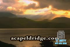 TV Content Image